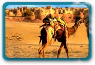 Camel Festival Rajasthan