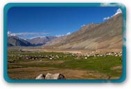Padum Ladakh